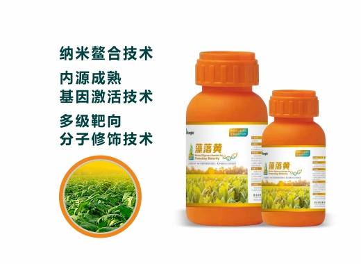 ����(�й�)���Ρ��ٷ���վ-JZ SPORTS